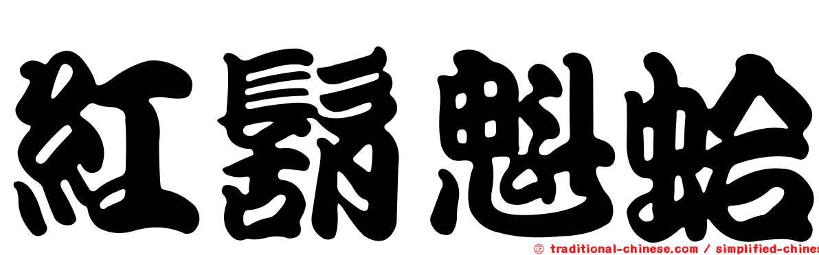 紅鬍魁蛤