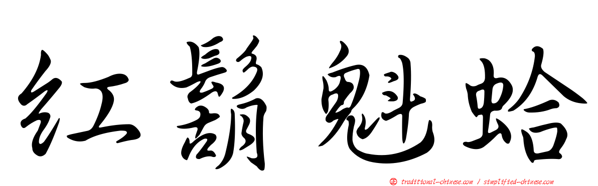 紅鬍魁蛤