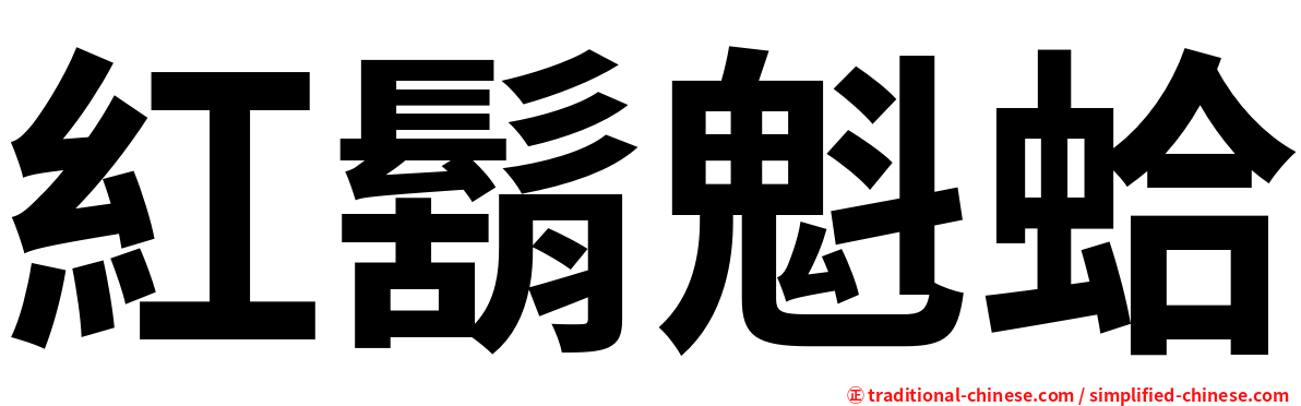 紅鬍魁蛤
