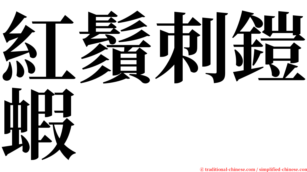 紅鬚刺鎧蝦 serif font