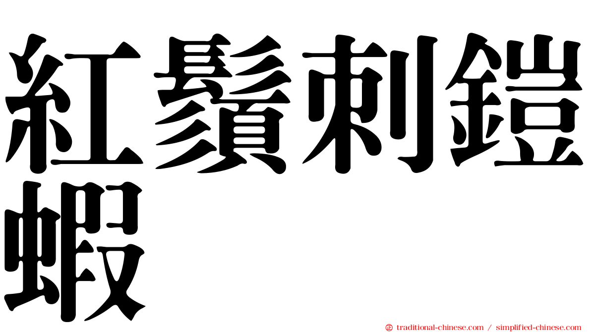 紅鬚刺鎧蝦