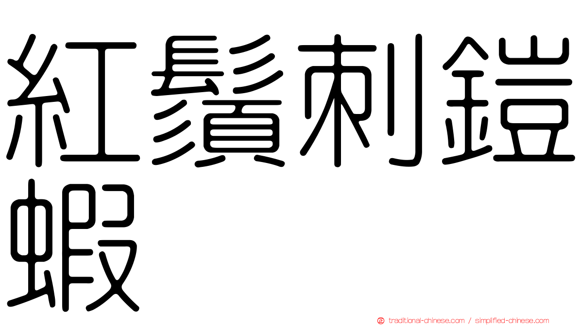紅鬚刺鎧蝦