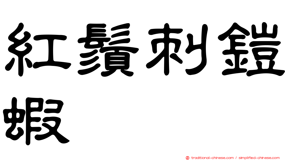 紅鬚刺鎧蝦