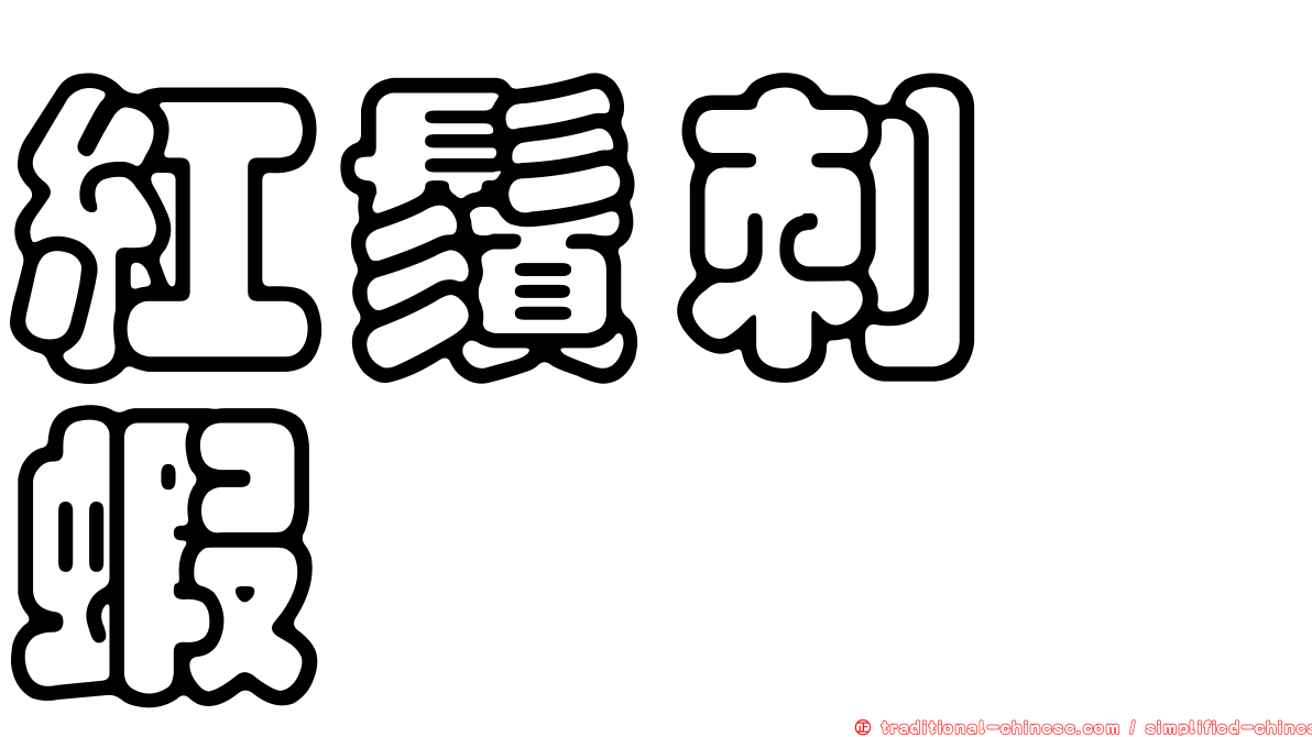 紅鬚刺鎧蝦