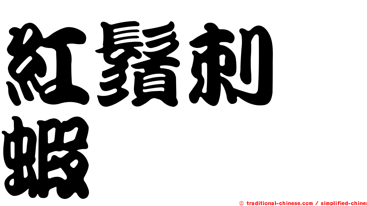 紅鬚刺鎧蝦