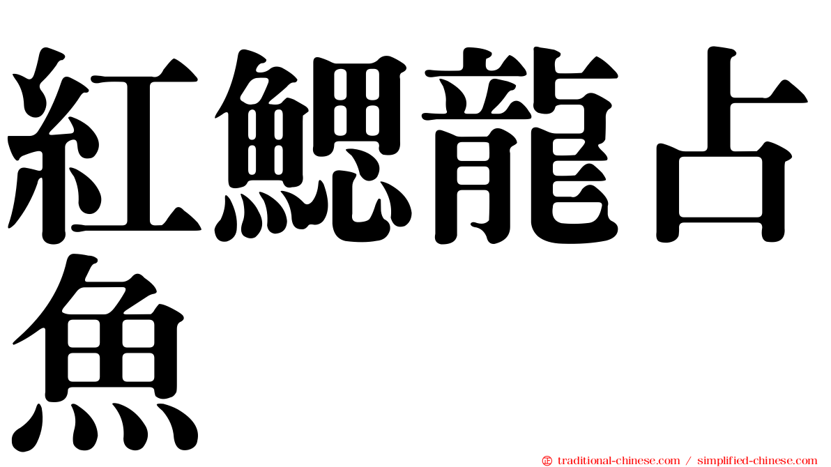 紅鰓龍占魚