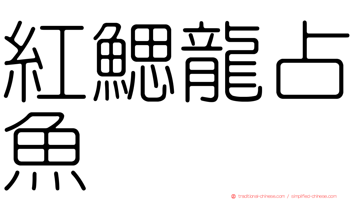 紅鰓龍占魚
