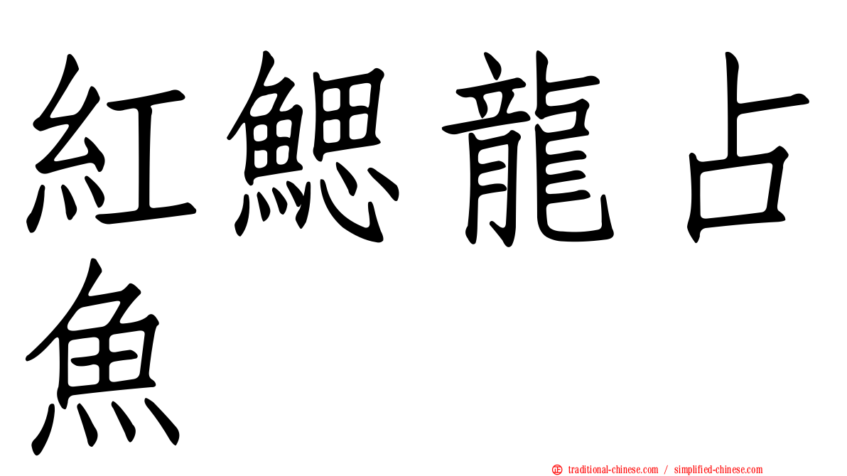 紅鰓龍占魚