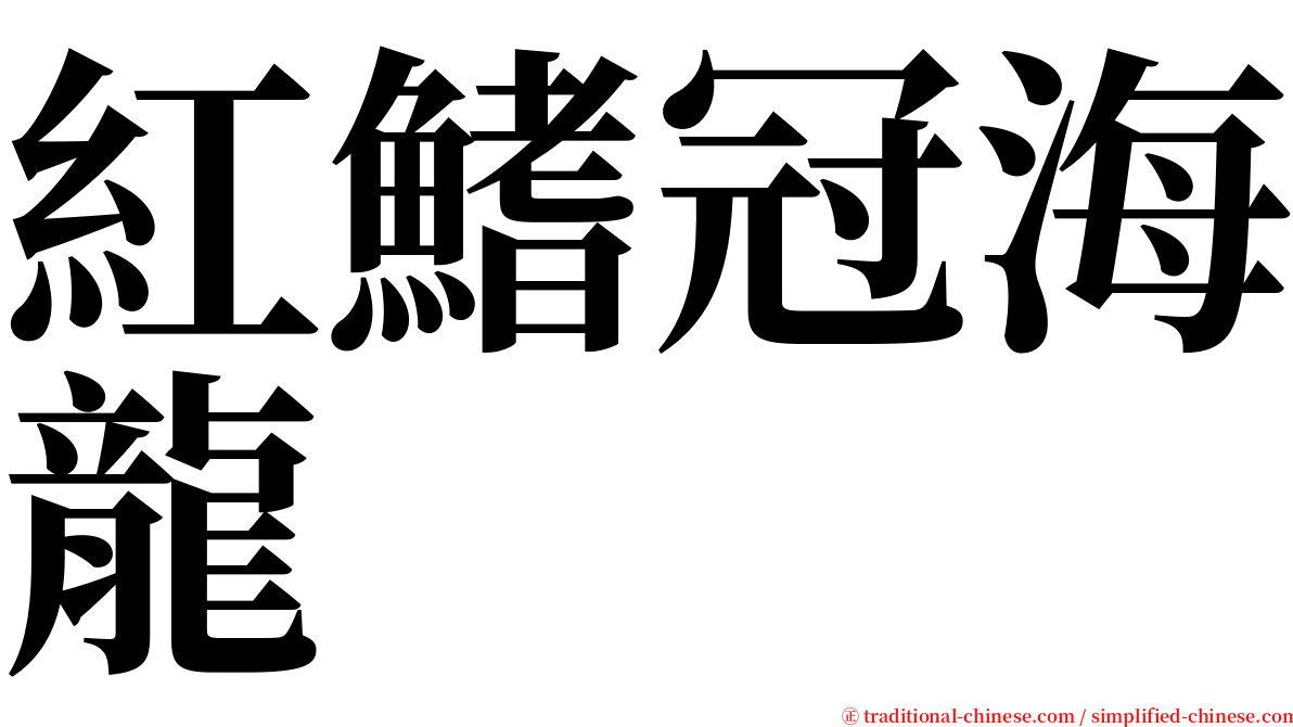 紅鰭冠海龍 serif font