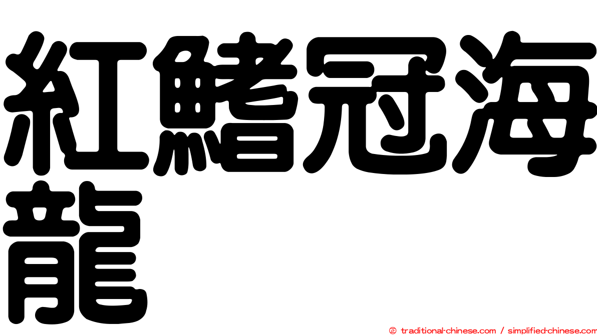 紅鰭冠海龍