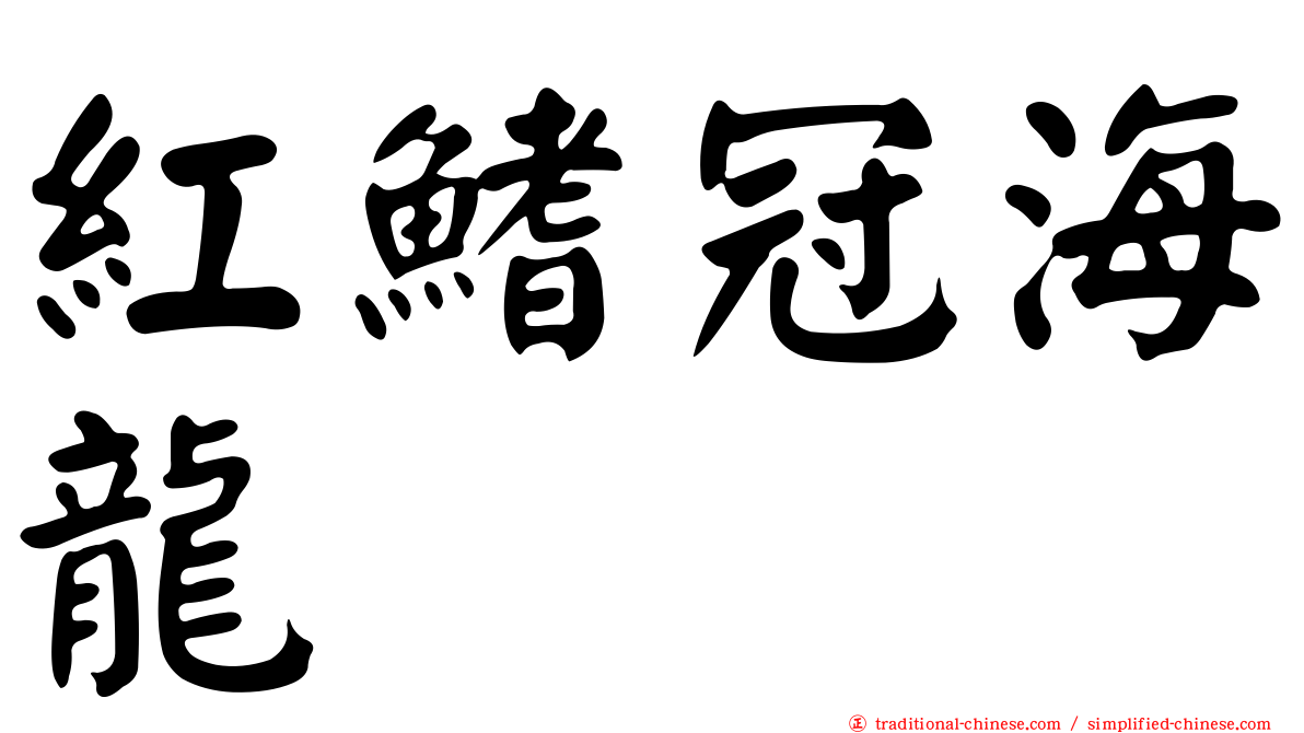 紅鰭冠海龍