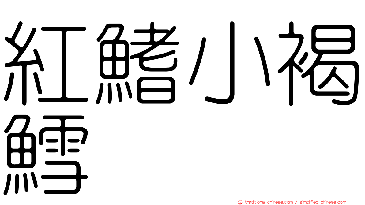 紅鰭小褐鱈