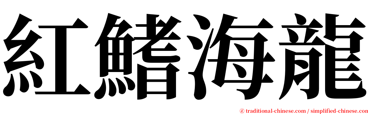 紅鰭海龍 serif font