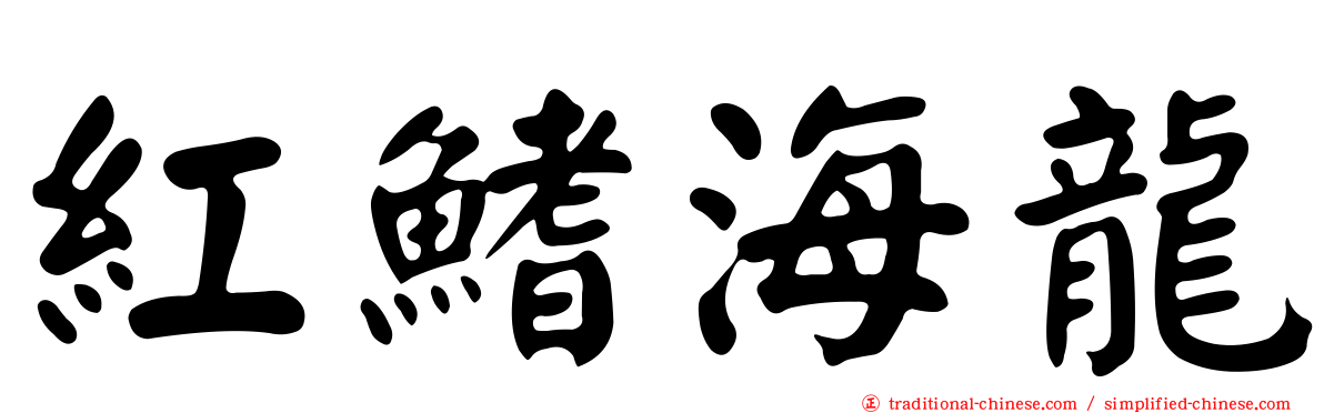 紅鰭海龍