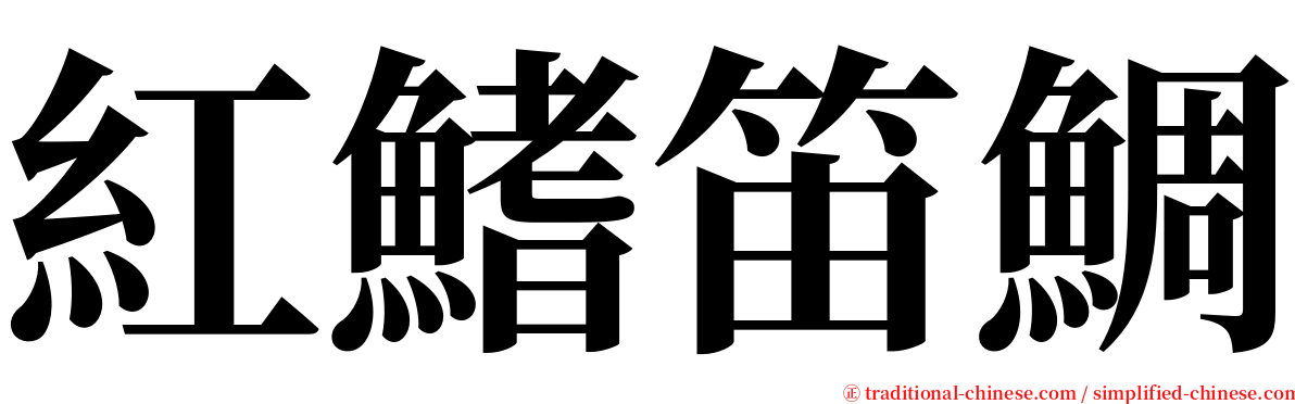 紅鰭笛鯛 serif font