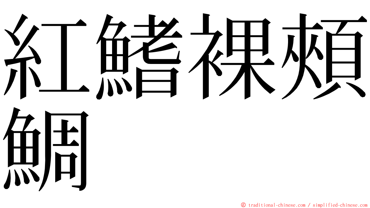 紅鰭裸頰鯛 ming font