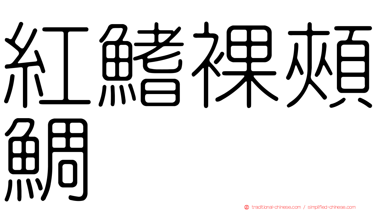 紅鰭裸頰鯛