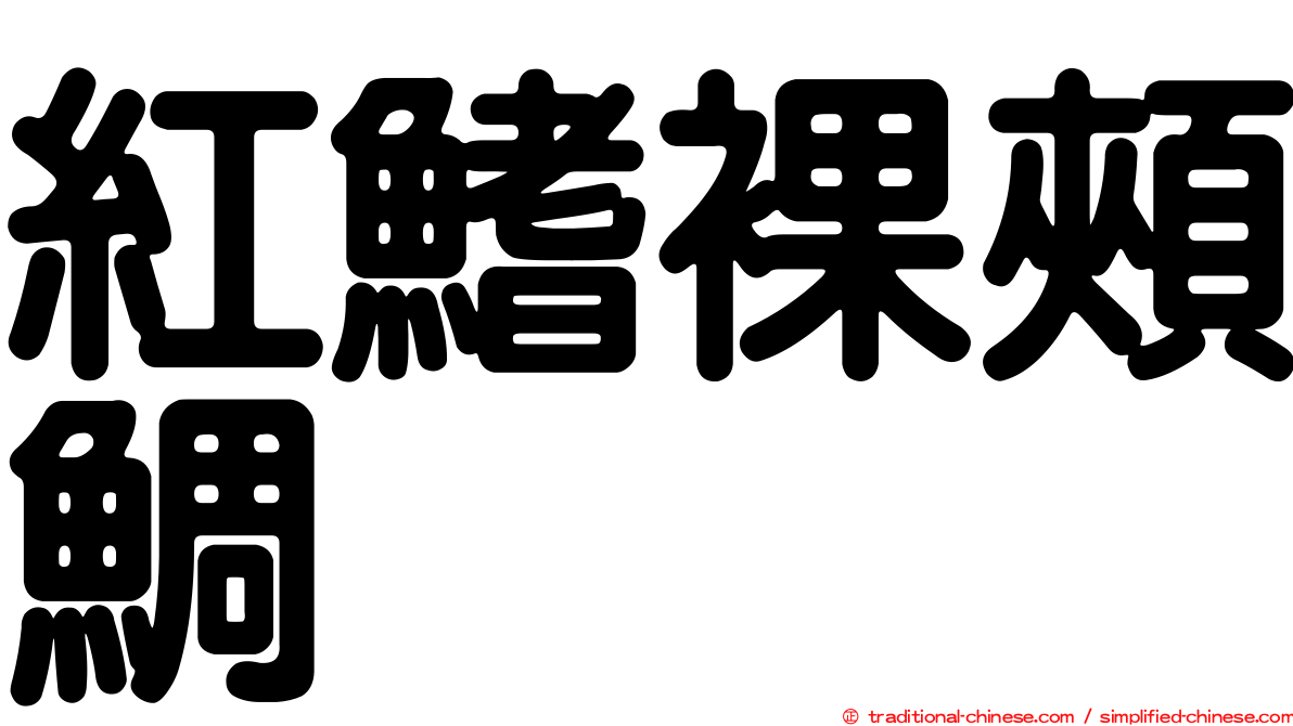 紅鰭裸頰鯛
