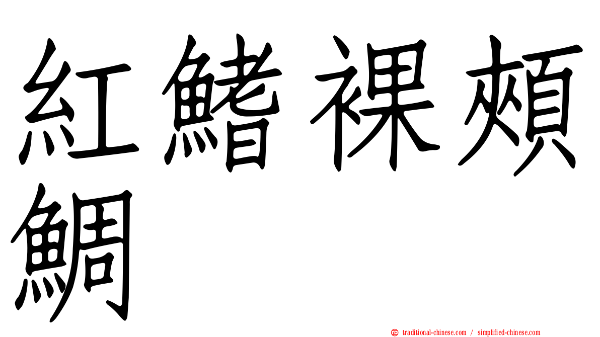 紅鰭裸頰鯛