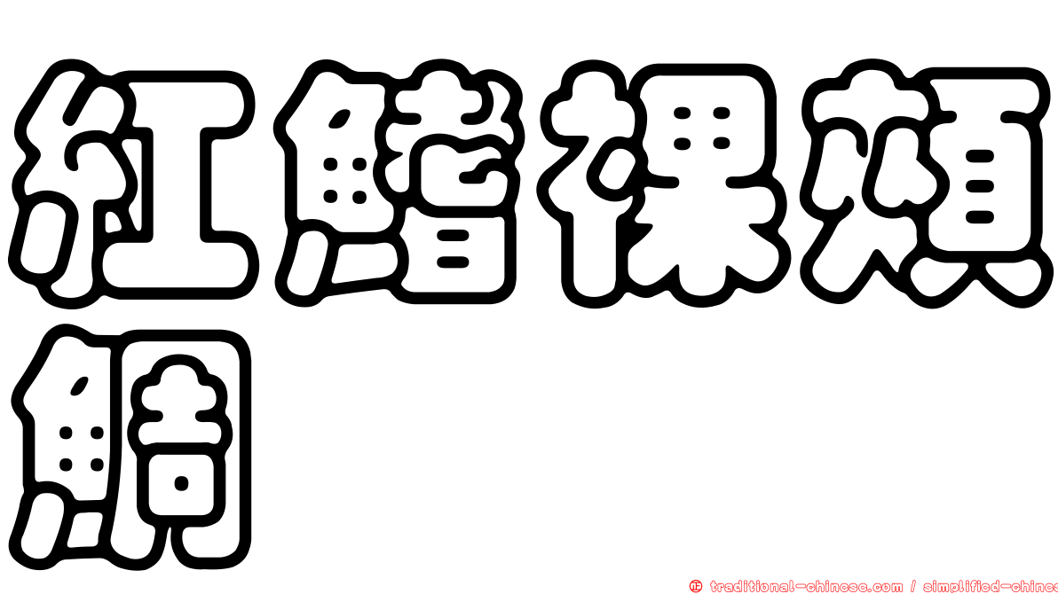 紅鰭裸頰鯛