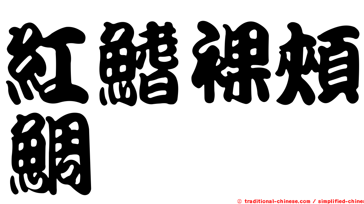 紅鰭裸頰鯛