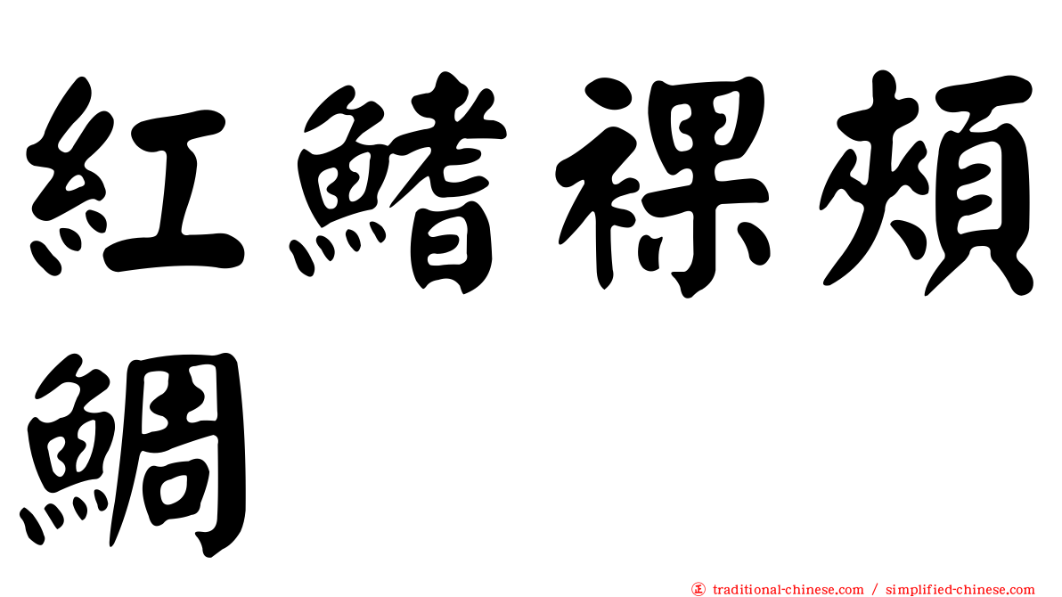 紅鰭裸頰鯛