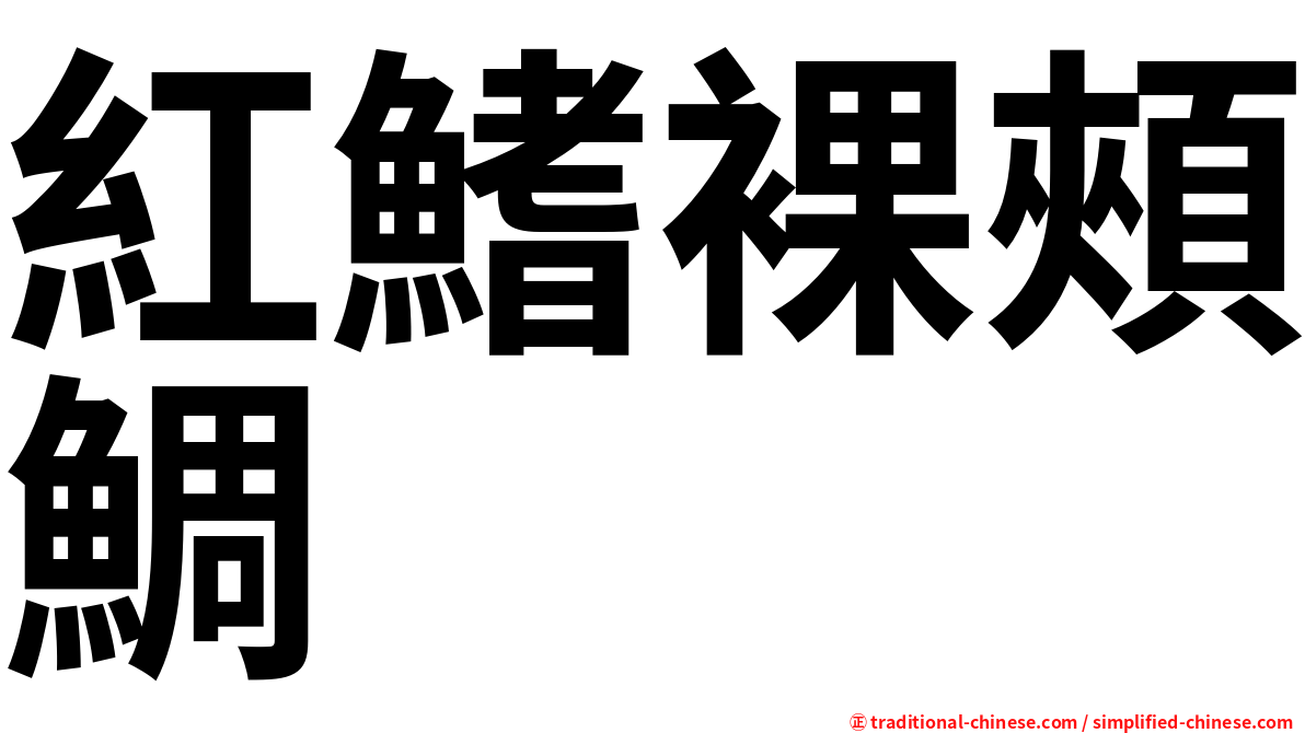 紅鰭裸頰鯛