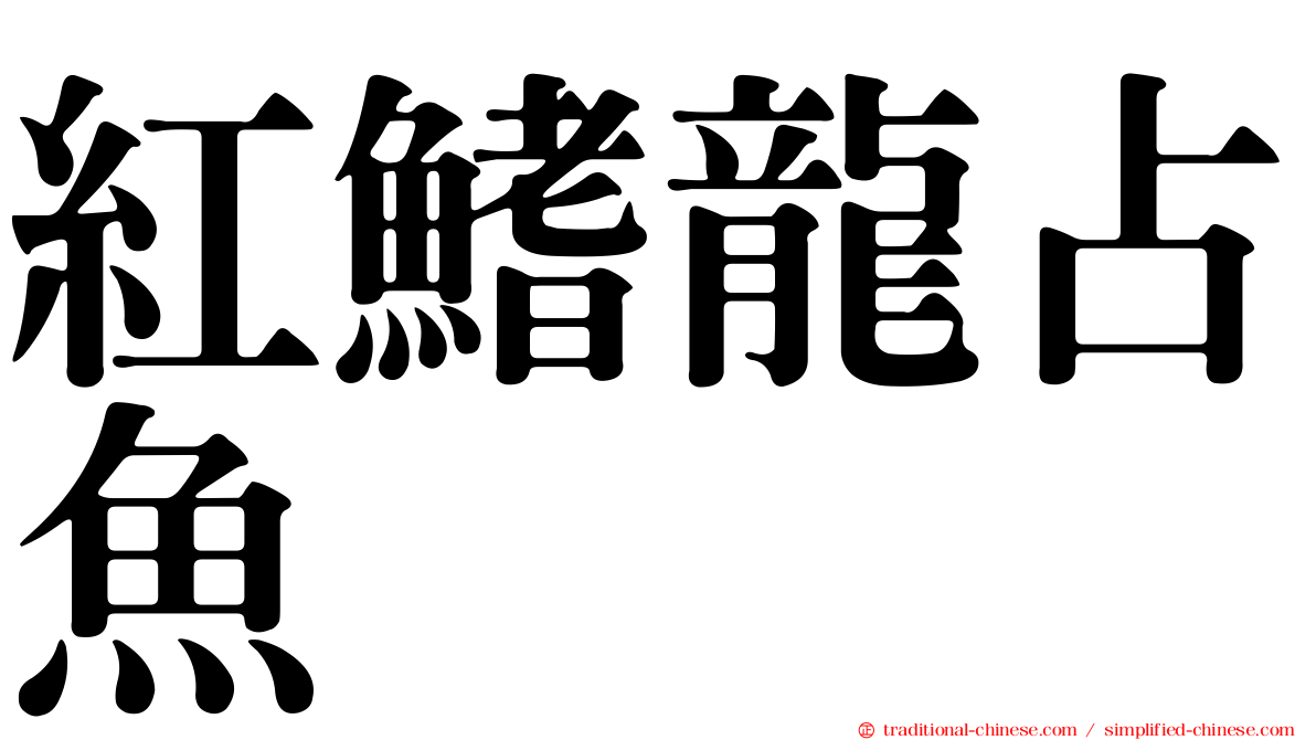 紅鰭龍占魚