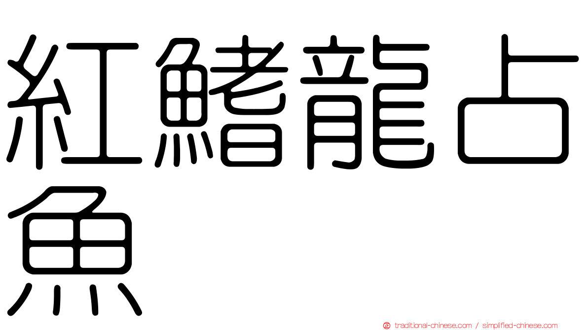 紅鰭龍占魚