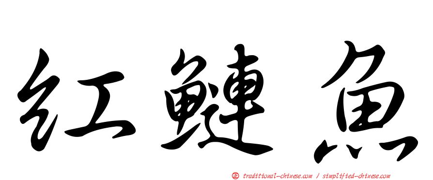 紅鰱魚