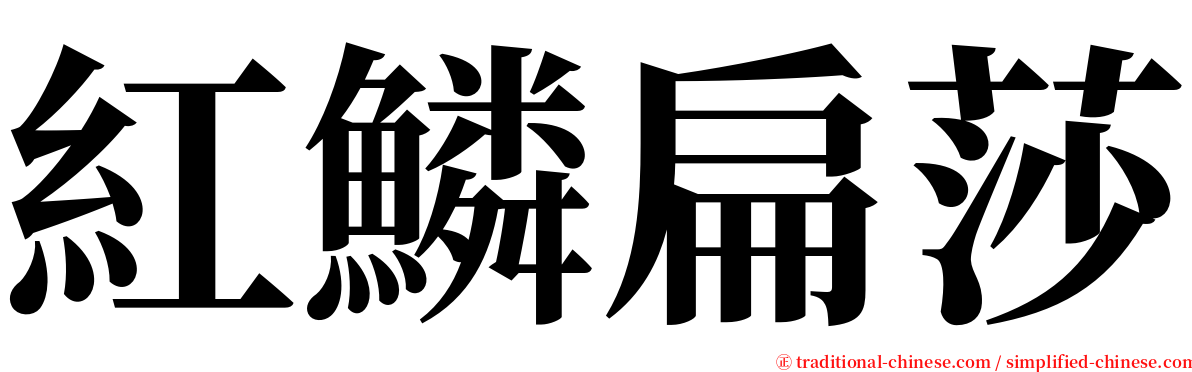 紅鱗扁莎 serif font