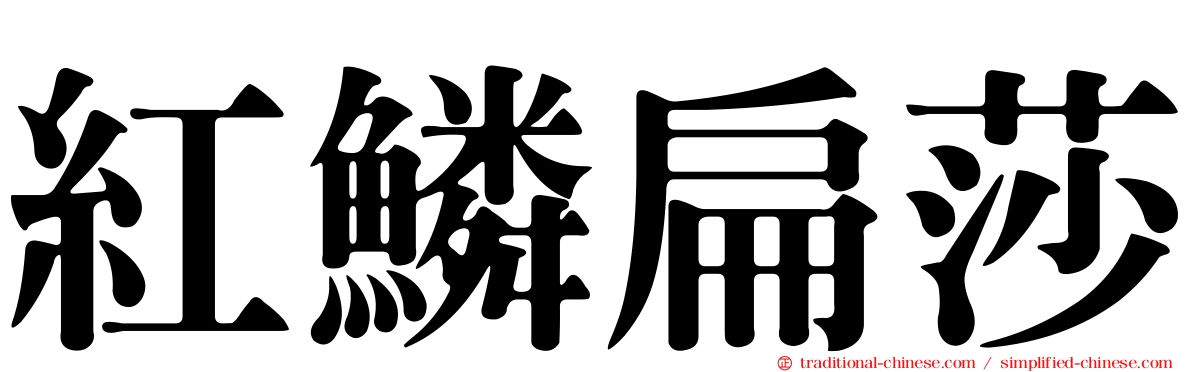 紅鱗扁莎