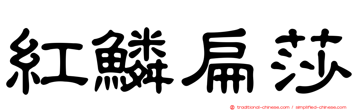 紅鱗扁莎
