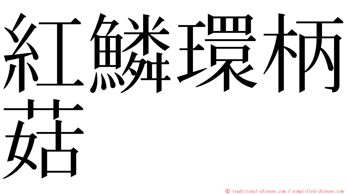 紅鱗環柄菇 ming font