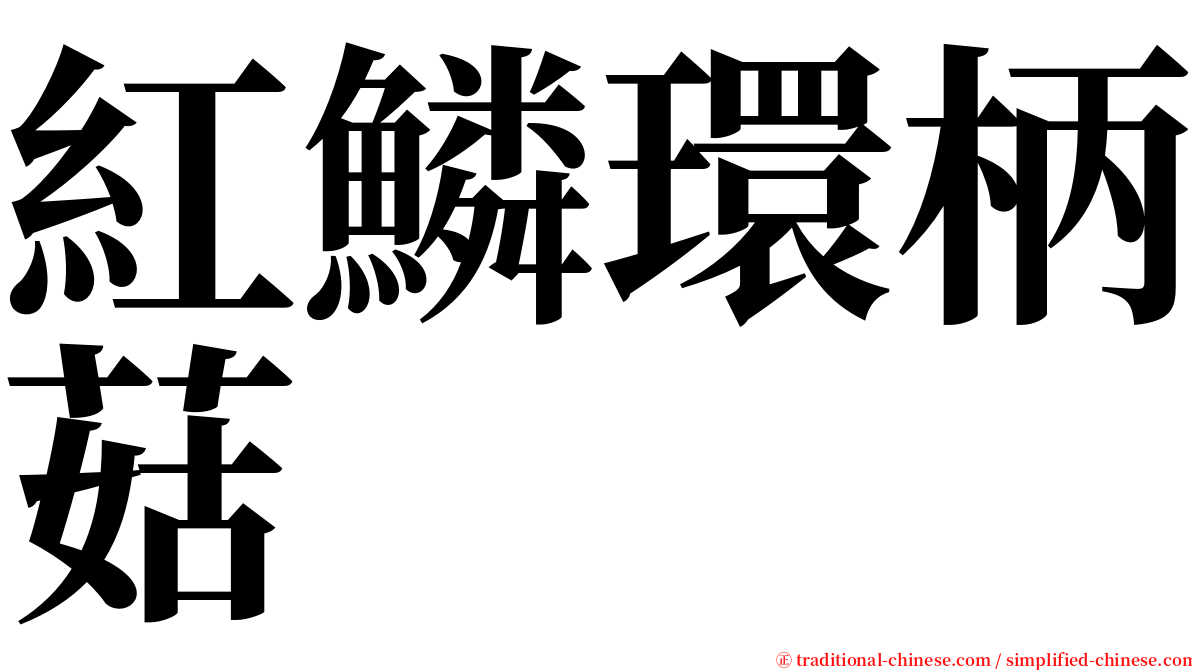 紅鱗環柄菇 serif font