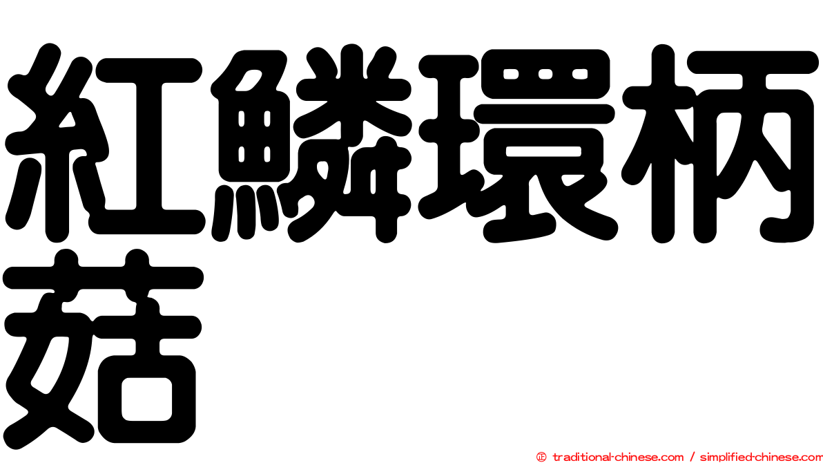 紅鱗環柄菇