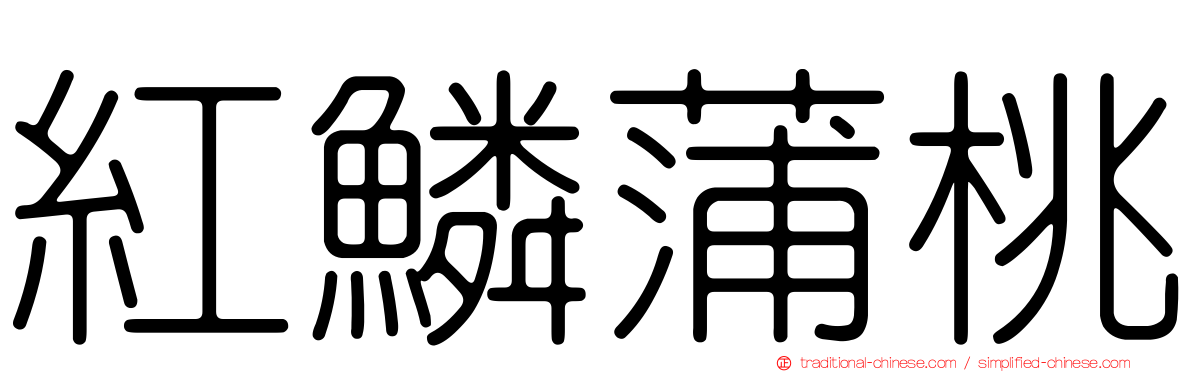 紅鱗蒲桃