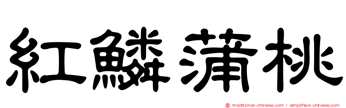 紅鱗蒲桃
