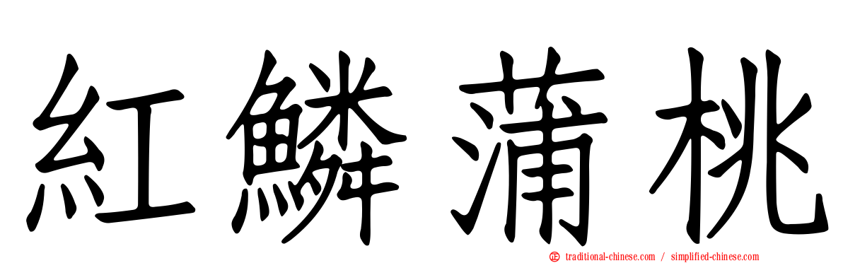 紅鱗蒲桃