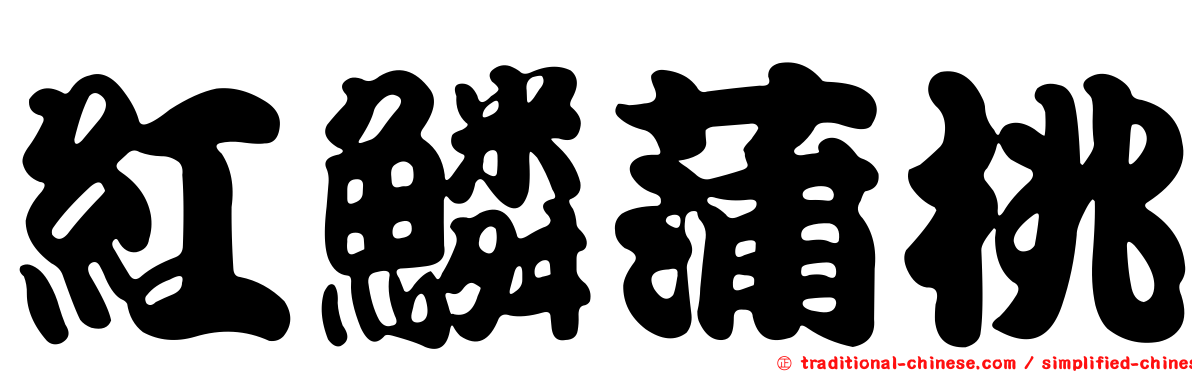 紅鱗蒲桃