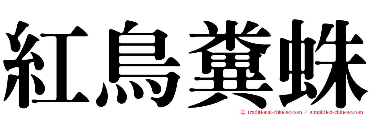 紅鳥糞蛛