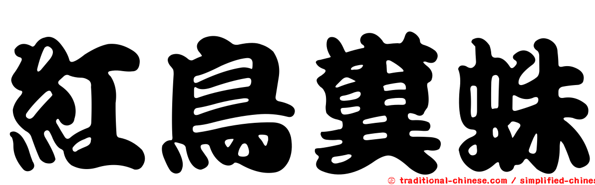 紅鳥糞蛛