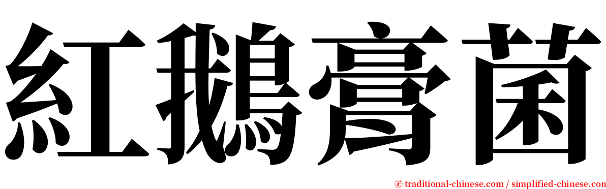 紅鵝膏菌 serif font