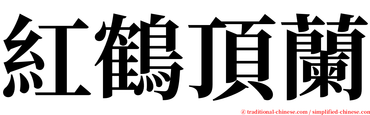 紅鶴頂蘭 serif font
