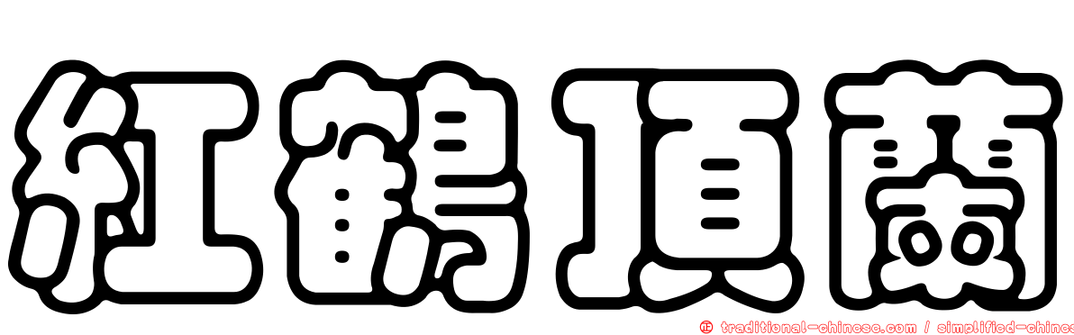 紅鶴頂蘭