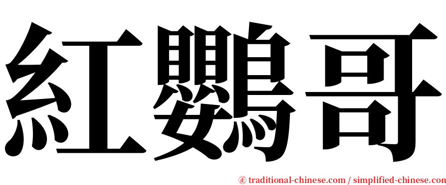 紅鸚哥 serif font
