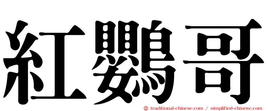 紅鸚哥