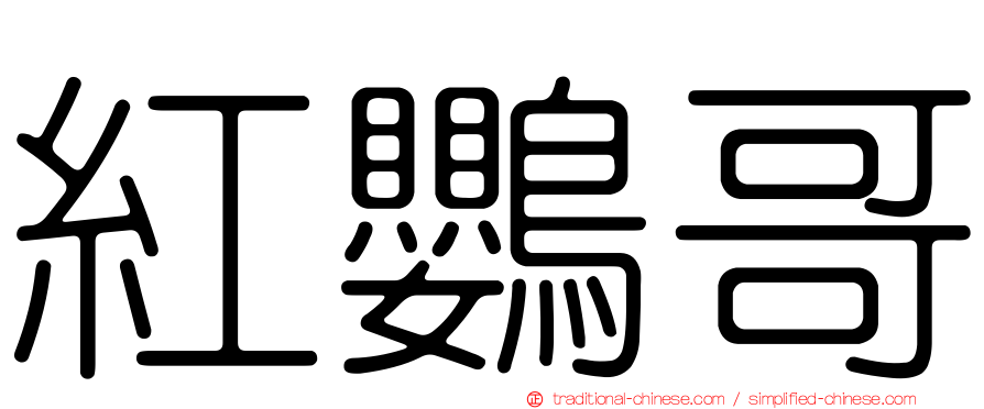 紅鸚哥