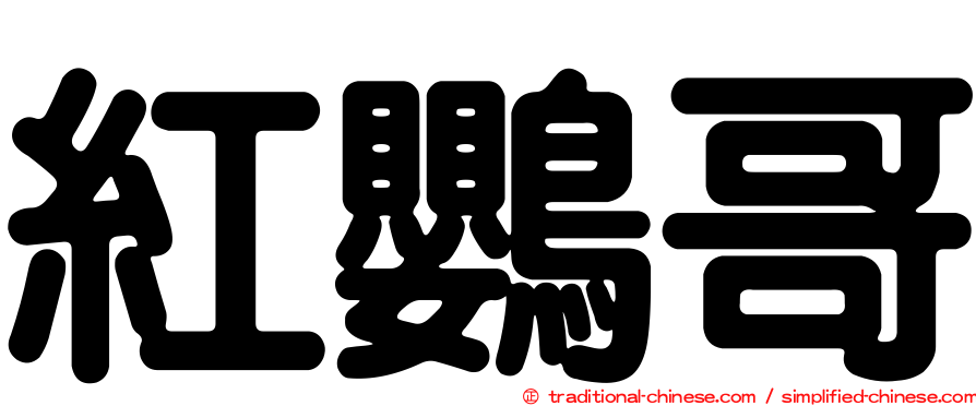 紅鸚哥