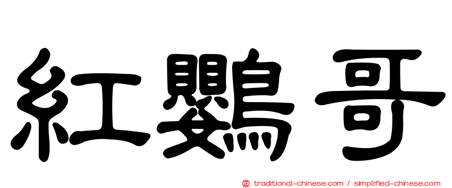 紅鸚哥